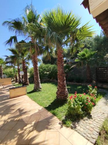 Casa delle palme 3