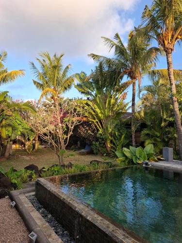 Brahmanhut - Eco Hut experience in harmony with nature, wellbeing and spirit 5