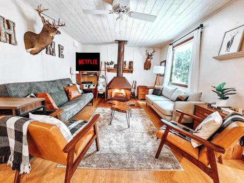 . Cozy Getaway Cabin with Hot Tub, Sauna, Wi-Fi