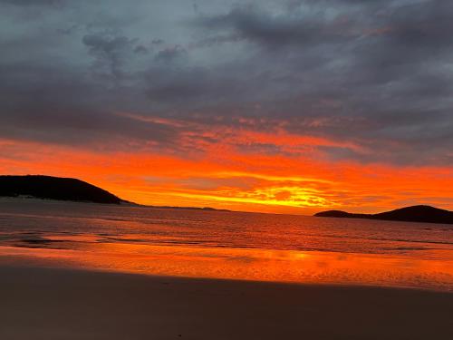 Pantai, The Mango Tree in Port Stephens