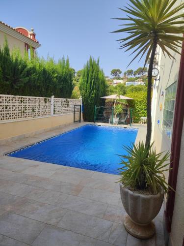 Монтемар in Dehesa de Campoamor