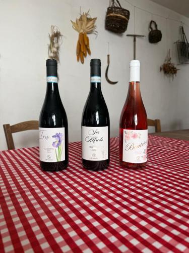 Borgo Iris - Wine Farm in Cortona in Centoia