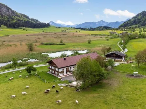 Schwemmblick am Marschbachhof in Walchsee, Österreich