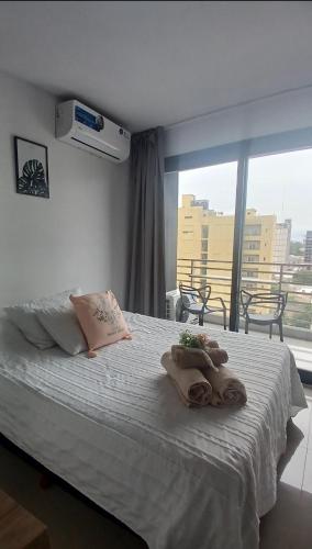 Centro suite II