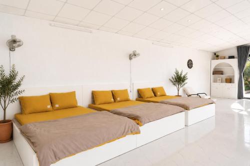 3 king beds, 3 futon beds