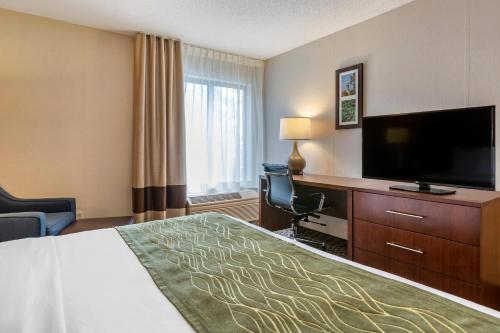 Comfort Inn Charlotte - image 24