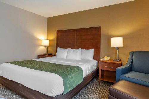 Comfort Inn Charlotte - image 28