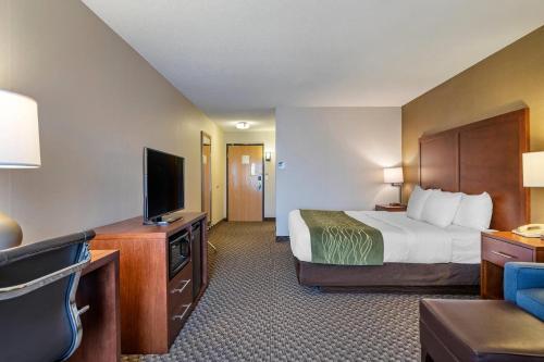 Comfort Inn Charlotte - image 27