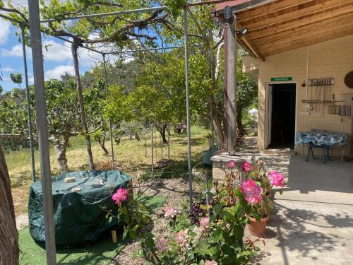 House on a Hill with Stunning Views near Troodos in Koilani