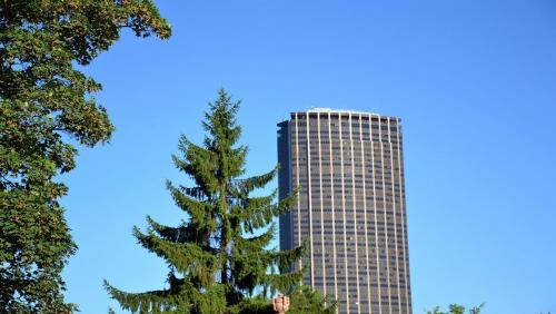 Hotel Le Clos d'Alésia - image 12