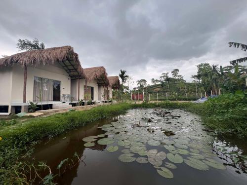 Apkārtne, Ananda Uthaan in Sreemangal Upazila