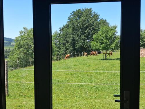Almtalblick in Pettenbach, Österreich