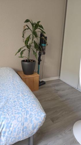 Studio Cosy Paris