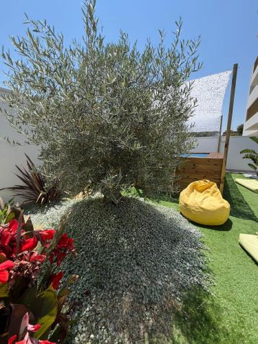 M4REE Seaside Suites & Relax