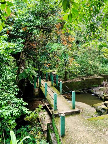 View, Travellers Homestay Mawlynnong I Peaceful Nature Stay in Pynursla