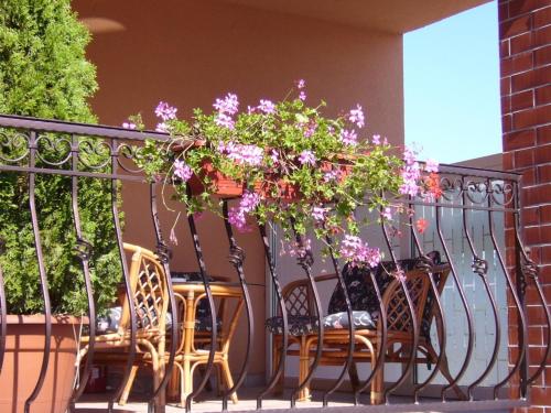 ระเบียง/ชานเรือน, Korona Home in ซาร์วาร์