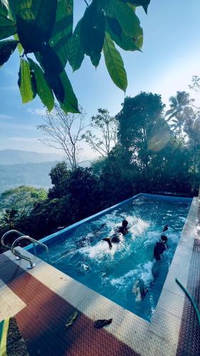 Yüzme havuzu, Serenehills Retreat in Idukki