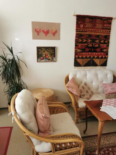 Maribo Street Home