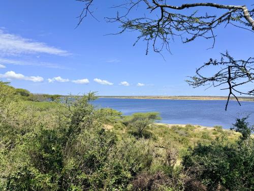 สภาพแวดล้อมโดยรอบ, Africa Safari Serengeti Ndutu in โงรองโกโร