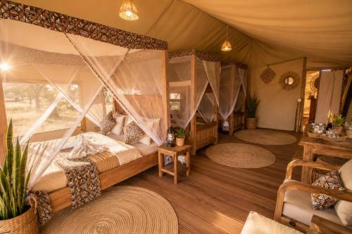 Africa Safari Serengeti Ndutu in โงรองโกโร