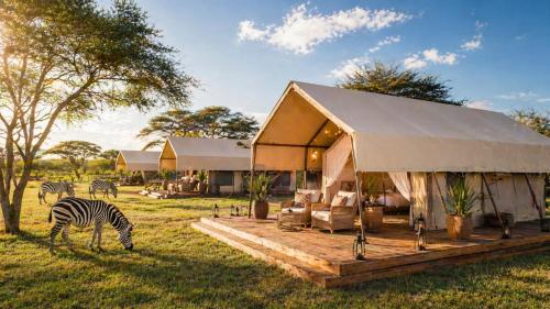ระเบียง/ชานเรือน, Africa Safari Serengeti Ndutu in โงรองโกโร