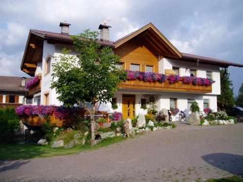 Ieeja, Appartements Schusterhof in Naz-Sciaves
