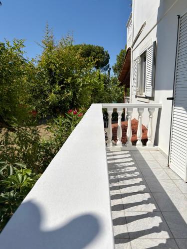 White Lotus Loft & Apartments 2