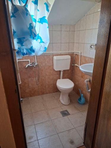 Apartmani Lazić No 11 (Apartmani Lazic No 11) in גרסניקה