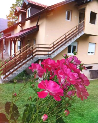 Anika apartmani - Location saisonnière - Tjentište