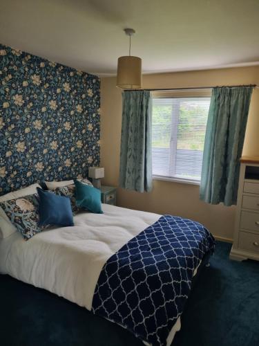 blue cottage in Ballycastle