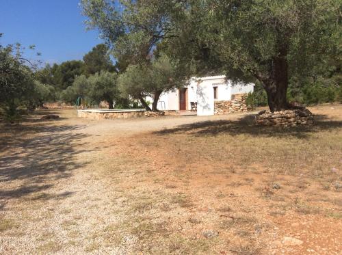  Casa Pineda, Pension in Perelló