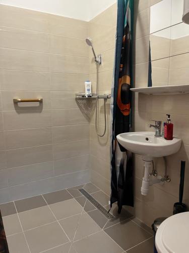 Mazsola apartman in Hodmezovasarhely
