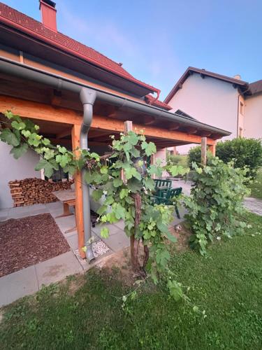 Das Ferienhaus-zurück zum Ursprung in Güssing