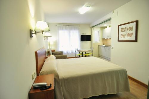 Hotel Apartamentos Aralso - image 5
