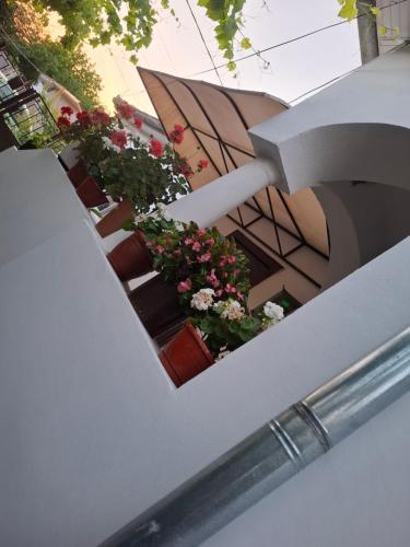 La DeDe in Calafat