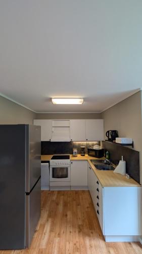 Cozy pet-friendly apartment with parking
