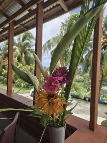 tuin, Island View Estate in Kingstown