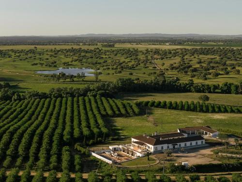 O Azinhal - Brand new Estate in Alentejo, Portugal gîte à louer Monte do Rio Seco