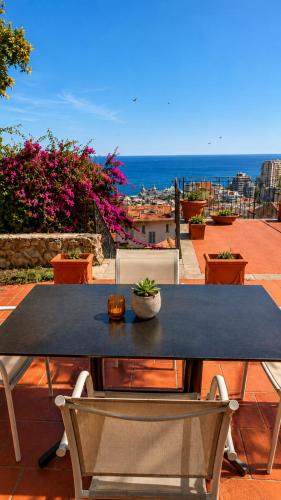 Grande terrasse avec belle vue sur Monaco