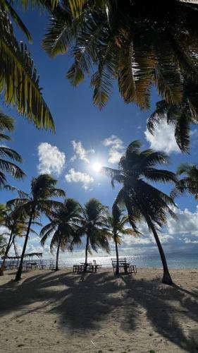 Guna Yala Paradise Tours in El Porvenir