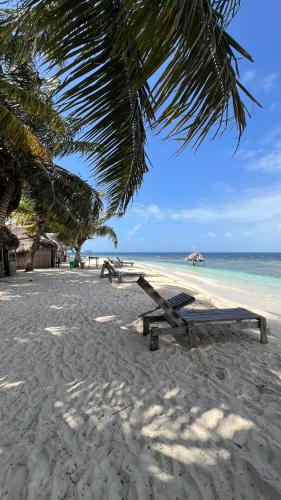 Guna Yala Paradise Tours in El Porvenir