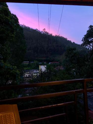 Hotel mango tree nearest Adam's peak in Nuwara Eliya