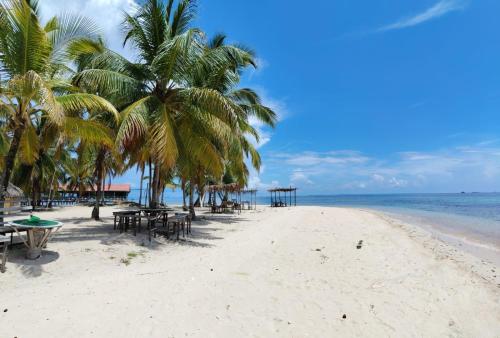 Guna Yala Paradise Tours in El Porvenir