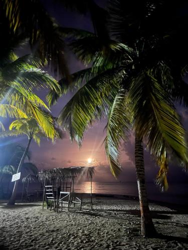 Guna Yala Paradise Tours in El Porvenir