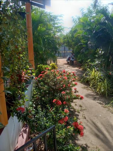U new guest house