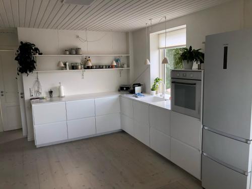 Stor lys lejlighed med terrasse og altan in هيلسينجور