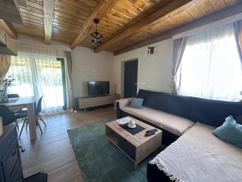 Villa Ema in Pale