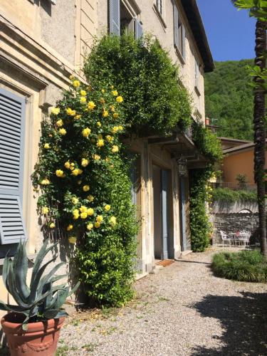 Exterior view of Como lake - Villa Ruscone with wedding location