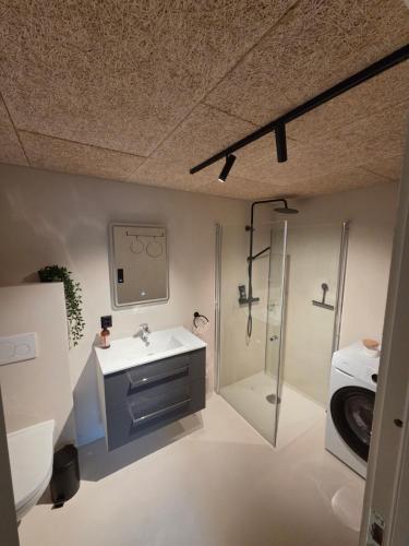 Lofoten Apartment 01 in Leknes