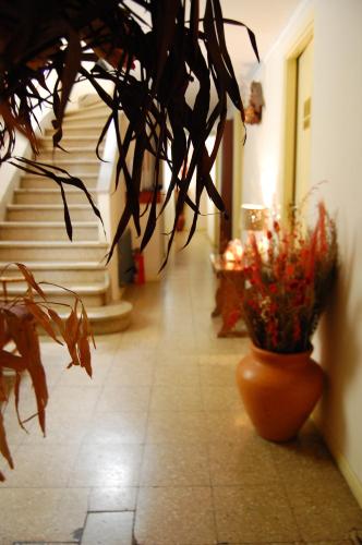 Facilities, Hotel del Paseo in La Perla